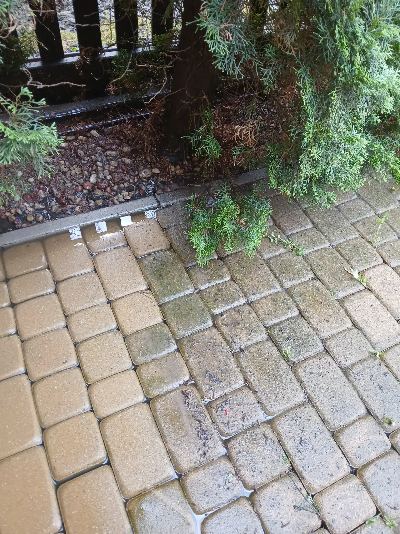 Kostka brukowa przy ogrodzeniu - część umyta, część zabrudzona
